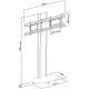 Plasmatech dual screen