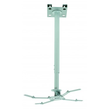 Ceiling mount for projector